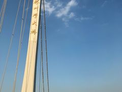 -青岛森林野生动物世界