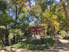 -广州市石门国家森林公园