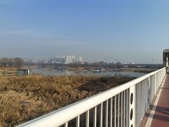 -西安浐灞国家湿地公园