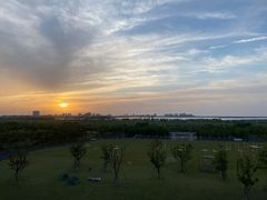 -春花秋色城市公园