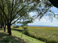 -野鸭湖国家湿地公园