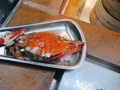 -烟台金海岸希尔顿酒店·開自助餐厅