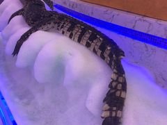 -澜悦港海鲜体验主题餐厅