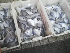 -江杨农产品批发市场