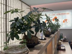 -长风拨筋养身(金虹桥店)