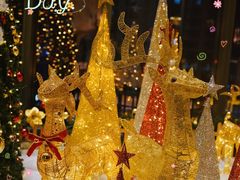 -三迪希尔顿酒店·星空酒廊