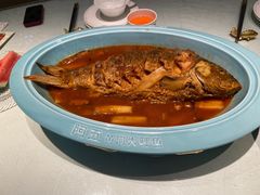 -阿五黄河大鲤鱼(英协路店)