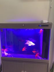 -海涛医疗美容·面部抗衰·注射美鼻