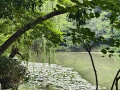 -灵谷景区