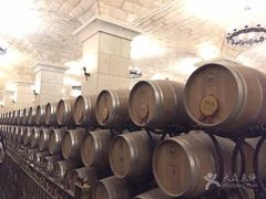 -北京张裕爱斐堡酒庄