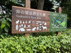 -井之头恩赐公园