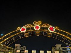 -武汉知音号