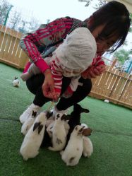 -萌宠亲子动物乐园(槐房万达店)