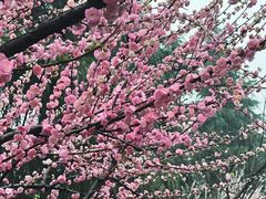 -西安市广仁寺