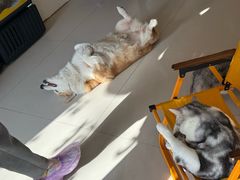 -平行世界·猫咖(首经贸店)