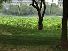 -东南大学(九龙湖校区)
