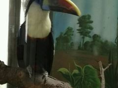 -石家庄市动物园