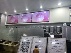 -雾与山茶(大禹城店)