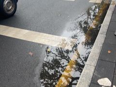 -黄鹤天厨·泡椒田鸡创始者(莲花店)