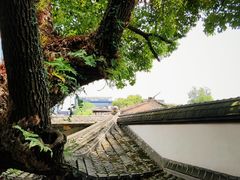 -星巴克(福州三坊七巷店)