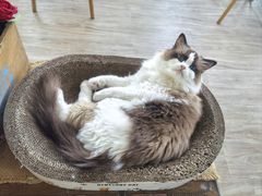 -小时光咖啡馆(北锣鼓巷店)