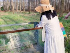 -黄海国家森林公园