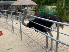 -三亚亚龙湾天域度假酒店