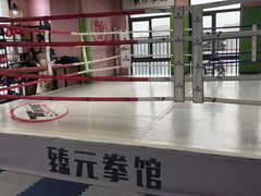 -臻元搏击格斗泰拳拳馆(港隆店)