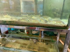 -大树下海鲜饭店