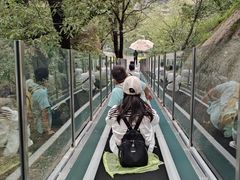 -嵖岈山风景区