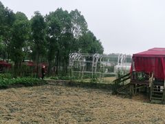 -洪湖家庭农场·团建·露营·会议
