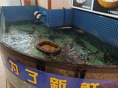 -尚品家宴(槐荫店)
