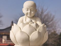 -庐山风景名胜区-东林大佛