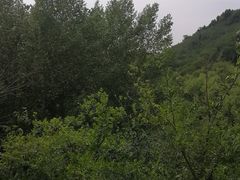 -北京山里寒舍度假酒店
