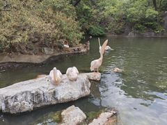 -昆明动物园