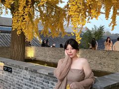-自如ZSPACE四合院艺术餐厅
