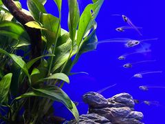 -上海海洋水族馆