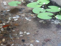 大堂-归觅·西关小姐人文艺术馆(荔枝湾店)