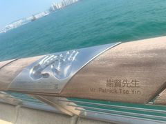 -星光大道