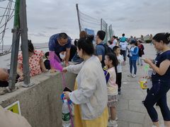 -南汇嘴观海公园