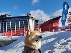 -翠云山银河滑雪场