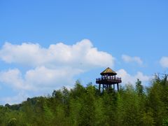 -赤水丹霞旅游区·大瀑布