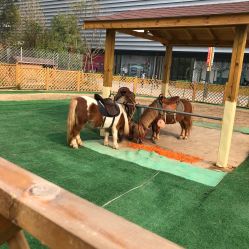 -萌宠亲子动物乐园(槐房万达店)