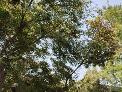 -宝界山林公园