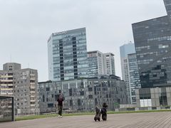-百好乐宠物友好餐厅(朝外大街店)