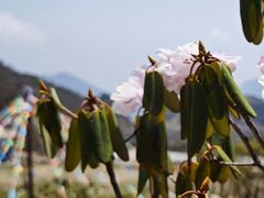 -牛背山