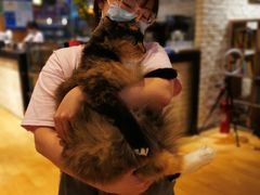 -藏猫猫咖啡主题馆(中央大道店)