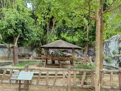 -清迈夜间动物园