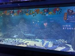 -烟台海昌鲸鲨海洋公园