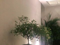 -漫笙舍Manse·咖啡·民宿